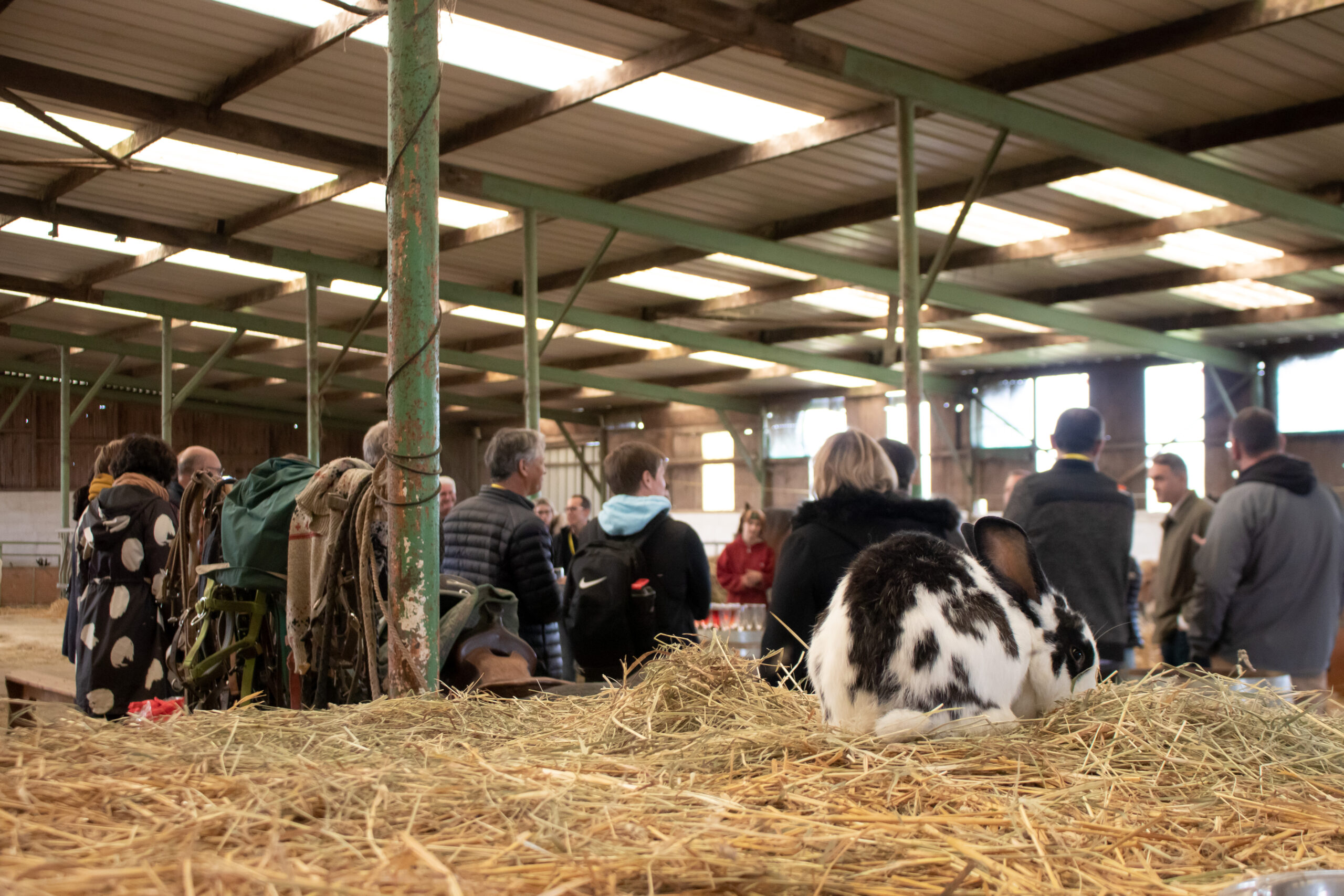 Evenement Paradis Konyka (2)