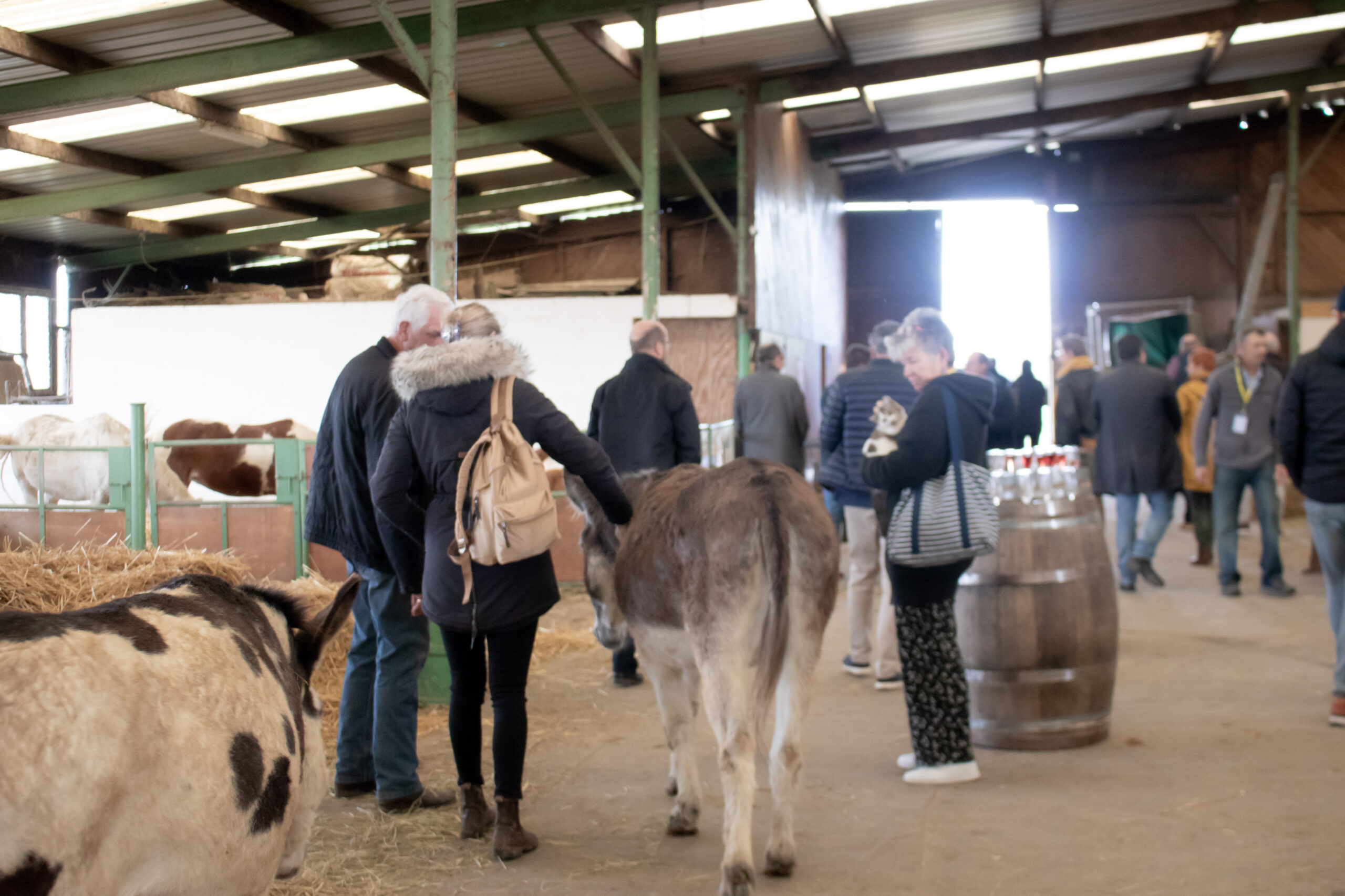 Evenement Paradis Konyka (9)